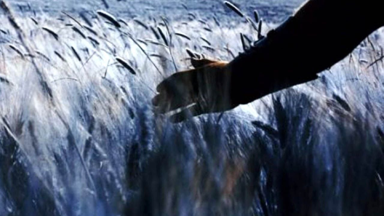 Das ist nicht die Hand von Russell Crowe!