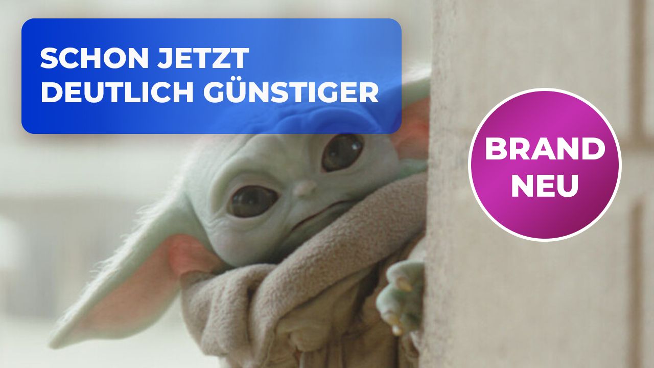 Artikel Bild