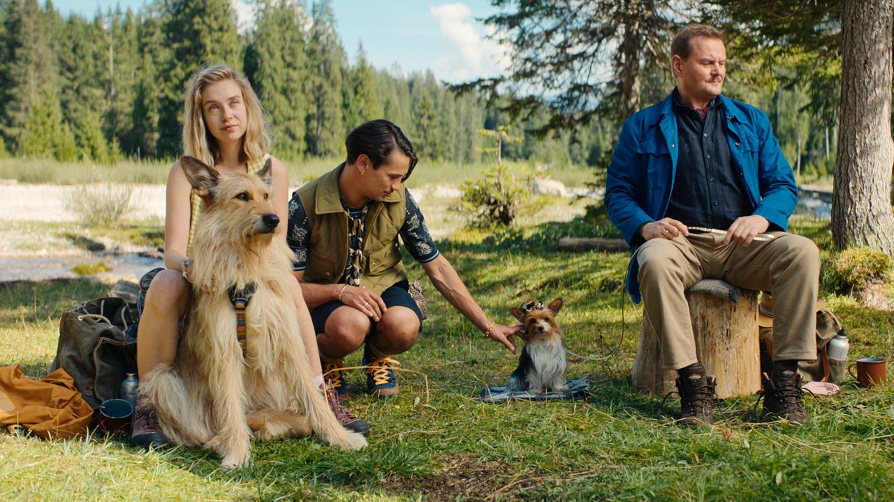 Wird das Hundetraining in 