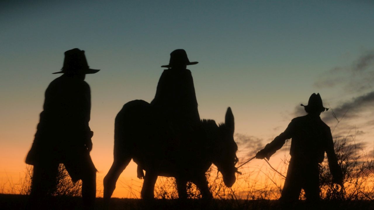 Wie immer bei Warwick Thornton sind auch die grandiosen Aufnahmen in „Wolfram“ über jeden Zweifel erhaben. 