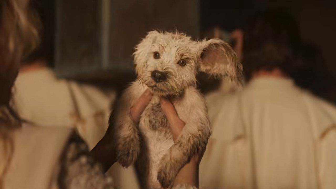 Baby Krypto im Super-Bowl-Trailer zu 