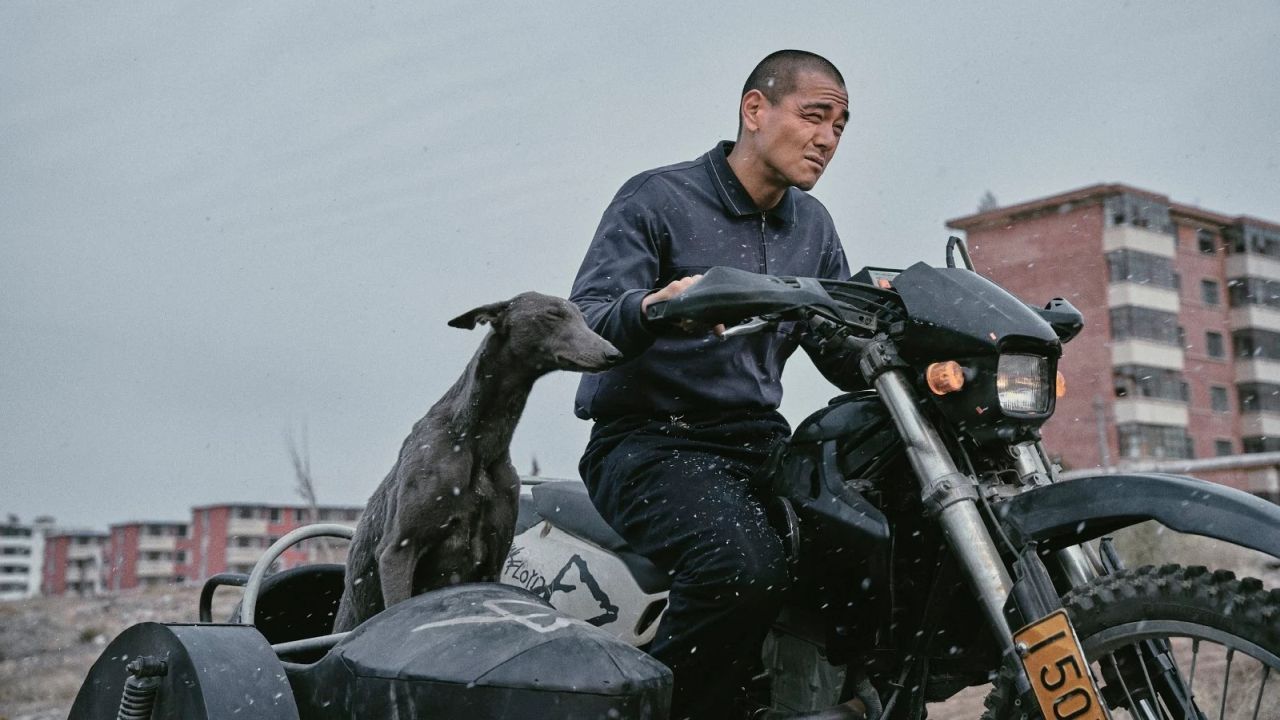 Man kennt es ja, dass ein Mann und sein Hund sich mit der Zeit ähnlicher werden. Aber die Ähnlichkeit der beiden in „Black Dog“ ist tatsächlich frappierend.  