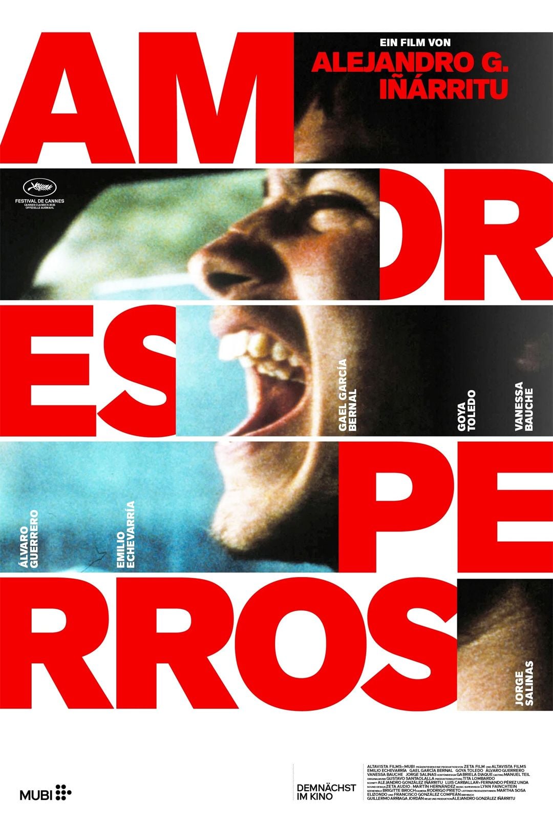 Amores perros