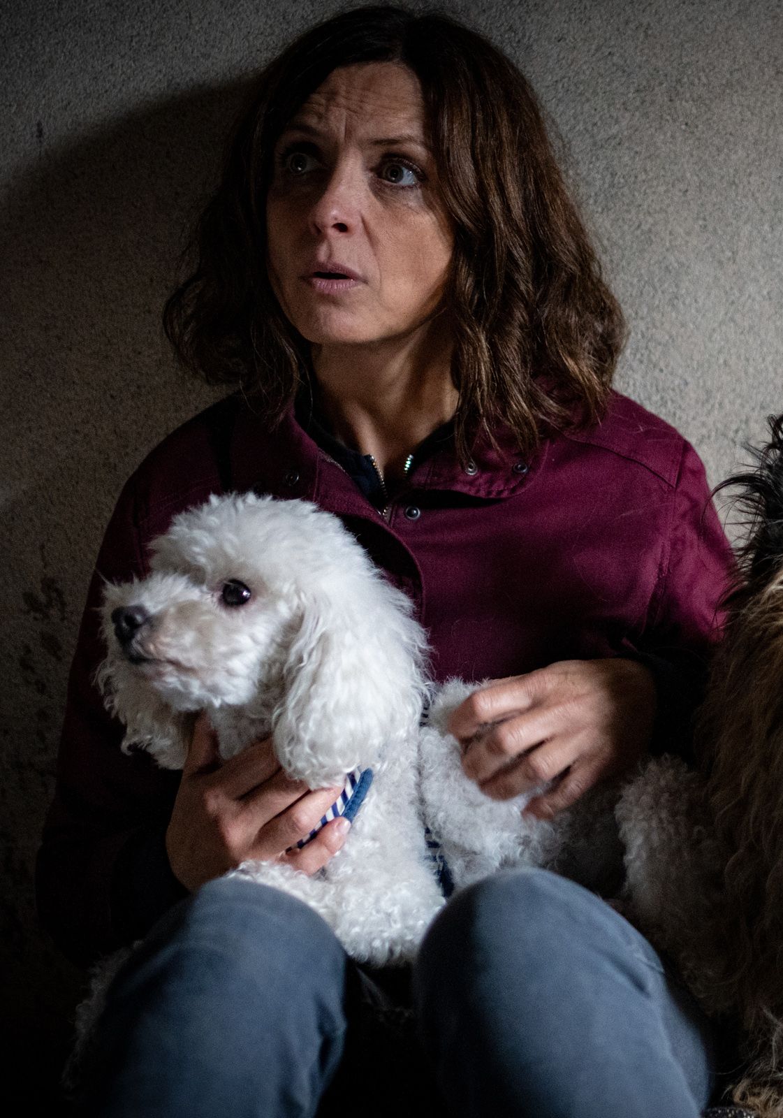 Besetzung Von Für Alle Fälle Amy Nord Nord Mord: Sievers und der verlorene Hund: schauspieler, regie