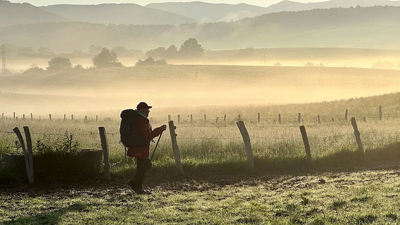 Dieser Weg wird dein Leben verändern: Deutscher Trailer zu "Mein Weg - 780 km zu mir" – exklusiv bei FILMSTARTS