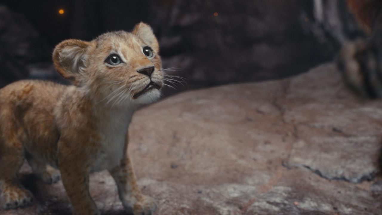 Kiara lauscht gebannt, als ihr Rafiki die Geschichte ihres Großvaters Mufasa erzählt.