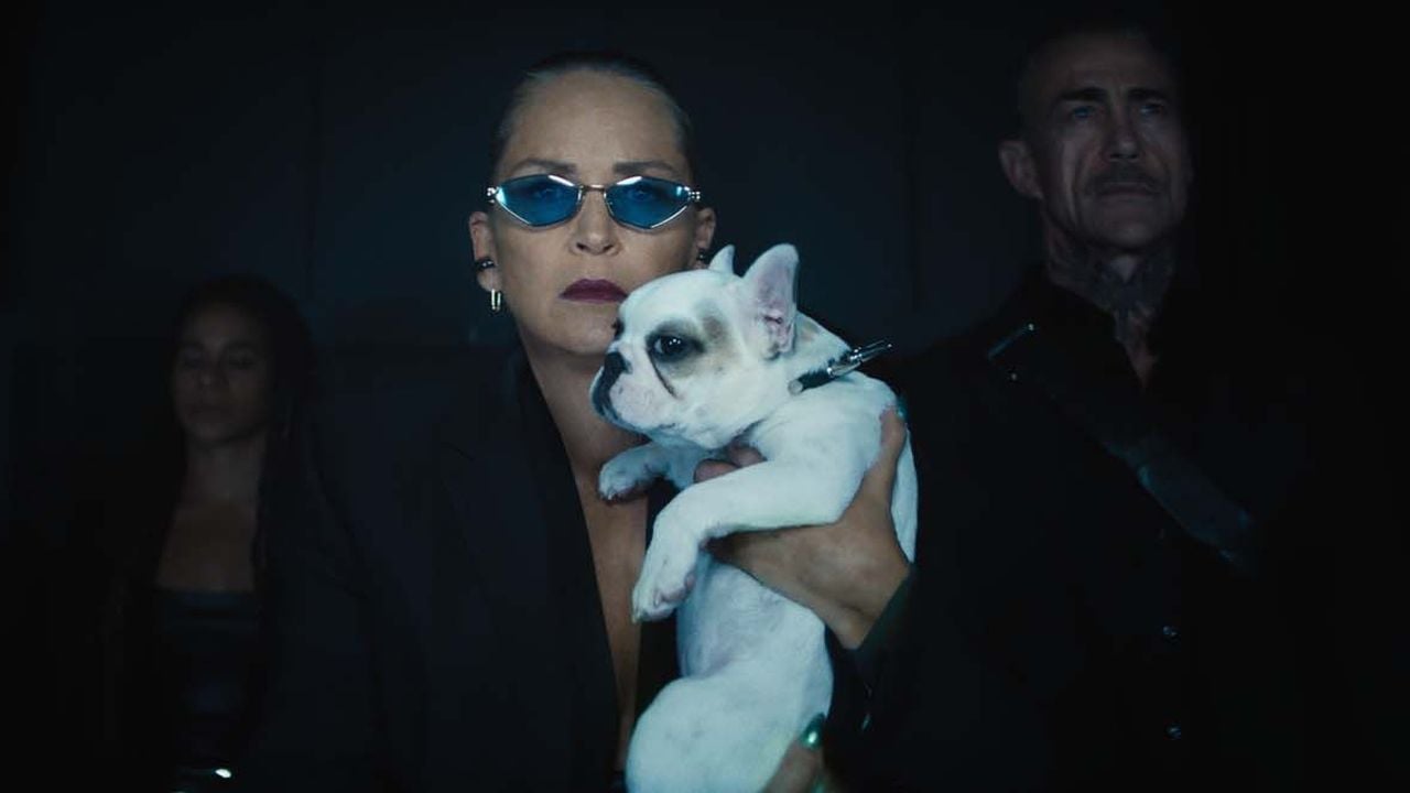 Sharon Stone stürzt sich kopfüber in ihre Rolle als Bösewichtin!