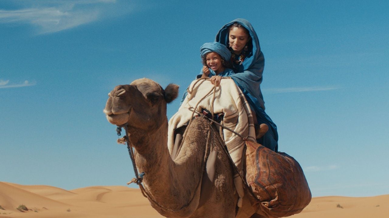 Neu im Heimkino: Ein bildstarkes und tierisches Abenteuer vor eindrucksvoller Wüstenkulisse