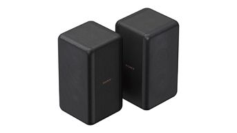 Sony SA-RS3S-Rear-Lautsprecher