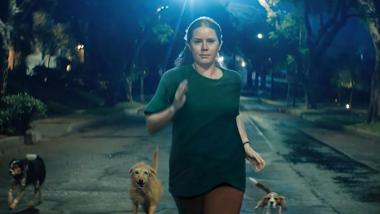 ... und dann folgen ihr nicht zufällig die Hunde!