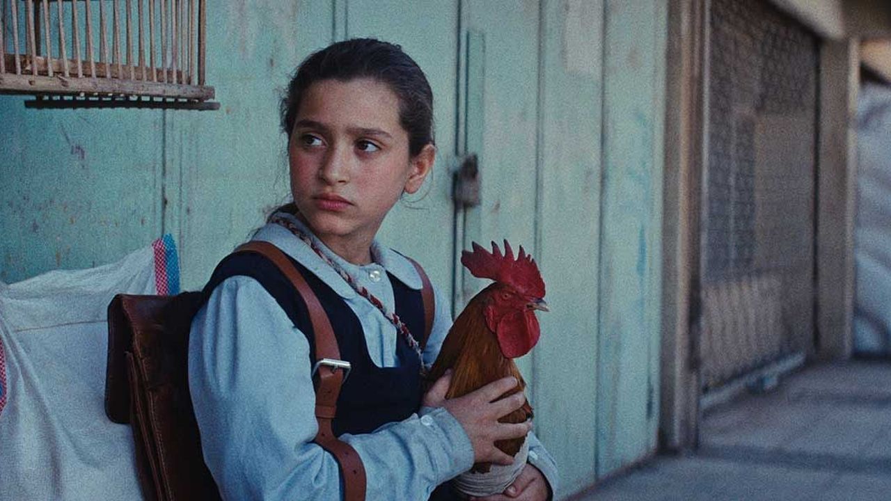 Natürlich ist ihr geliebter Gockel auch dabei, wenn sich Lamia (wunderbar natürlich: Baneen Ahmad Nayyef) zum Zutateneinkauf in die große Stadt aufmacht…