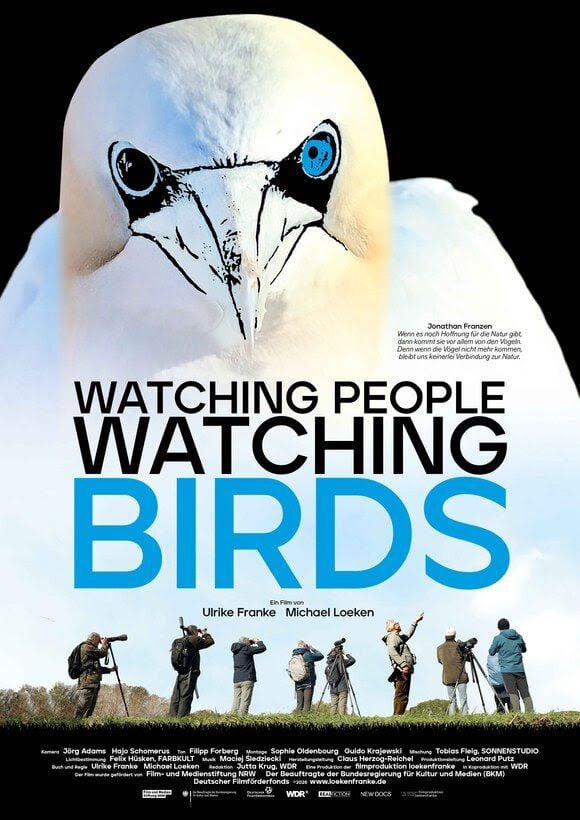 Watching People Watching Birds