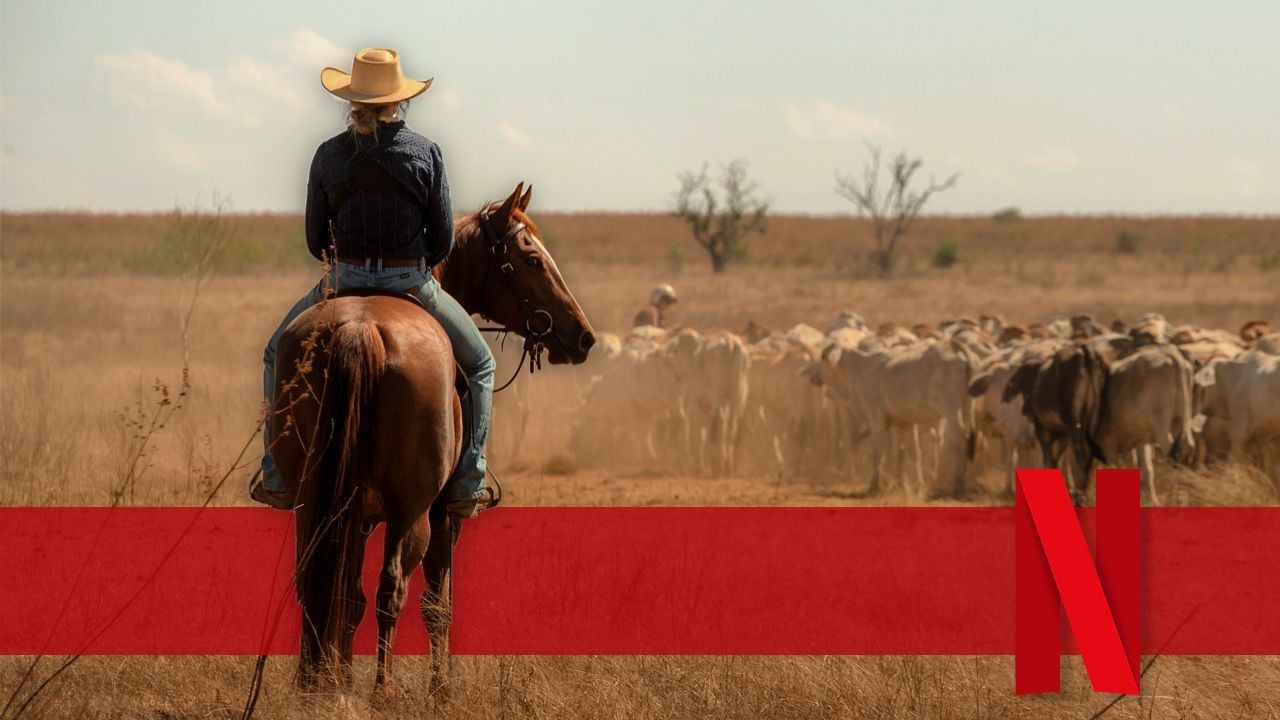 Aus und vorbei! Netflix setzt Western-Nachschub für "Yellowstone"-Fans nach nur einer Staffel ab