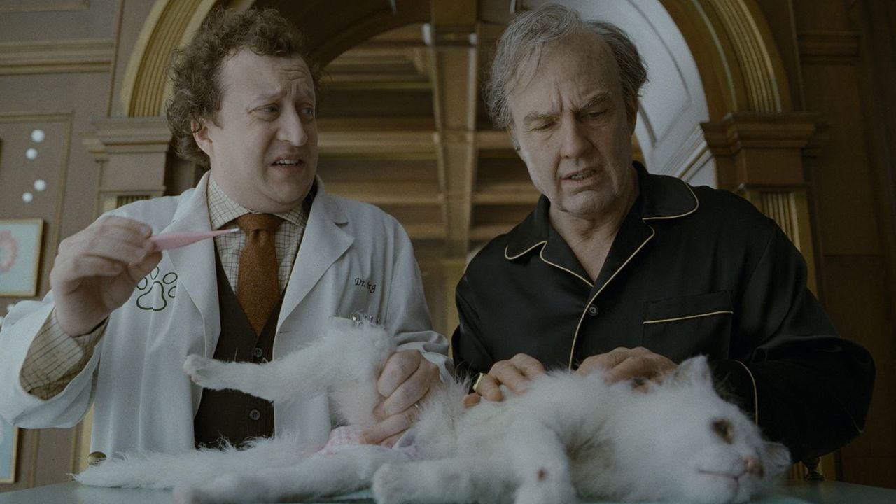 Dass Diggers geliebte Katze nicht echt ist, ist kein Zufall.