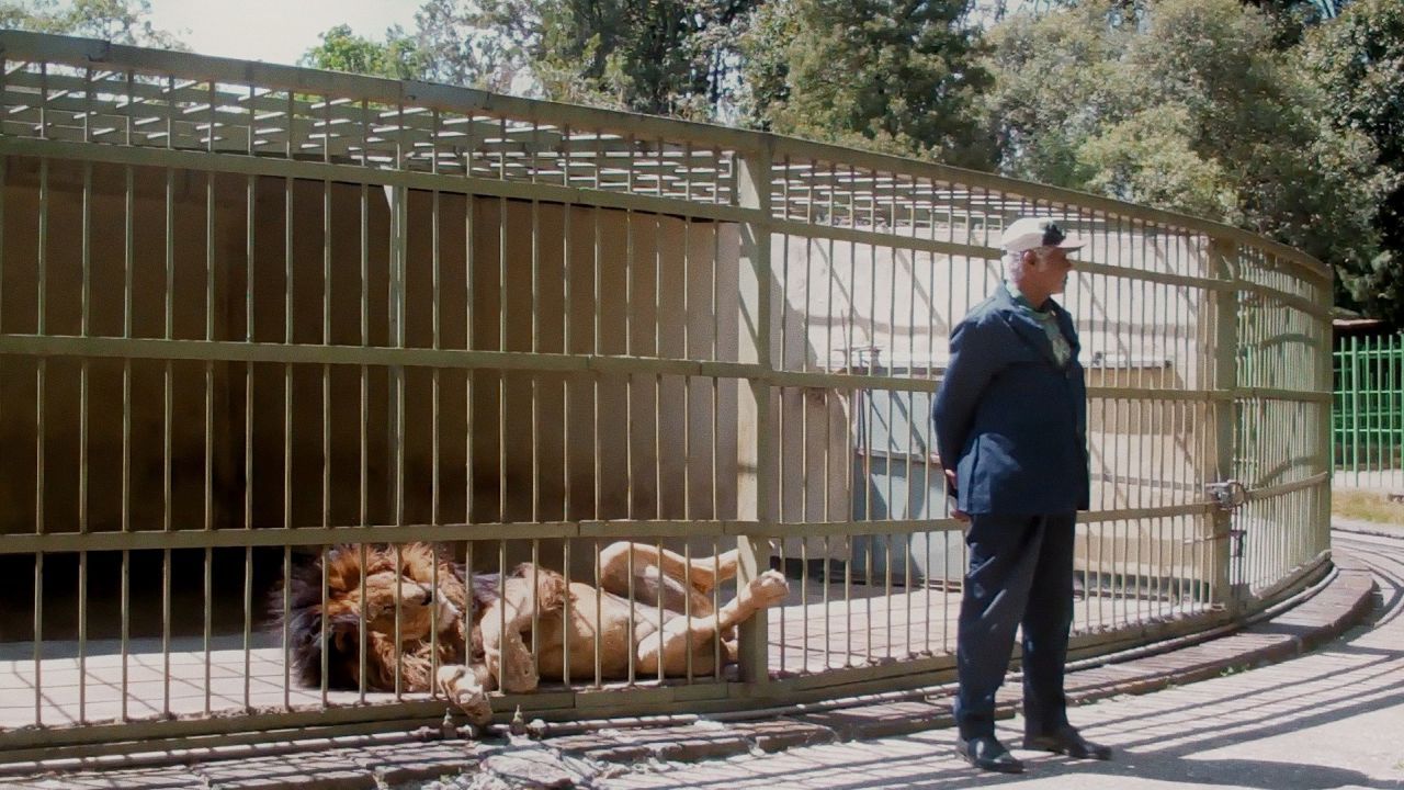 Der Löwe als kulturelles Symbol Äthiopiens spielte auch in der Herrschaft von Haile Selassie immer wieder eine zentrale Rolle. 