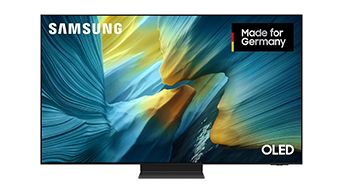 Samsung S95F in 55 Zoll