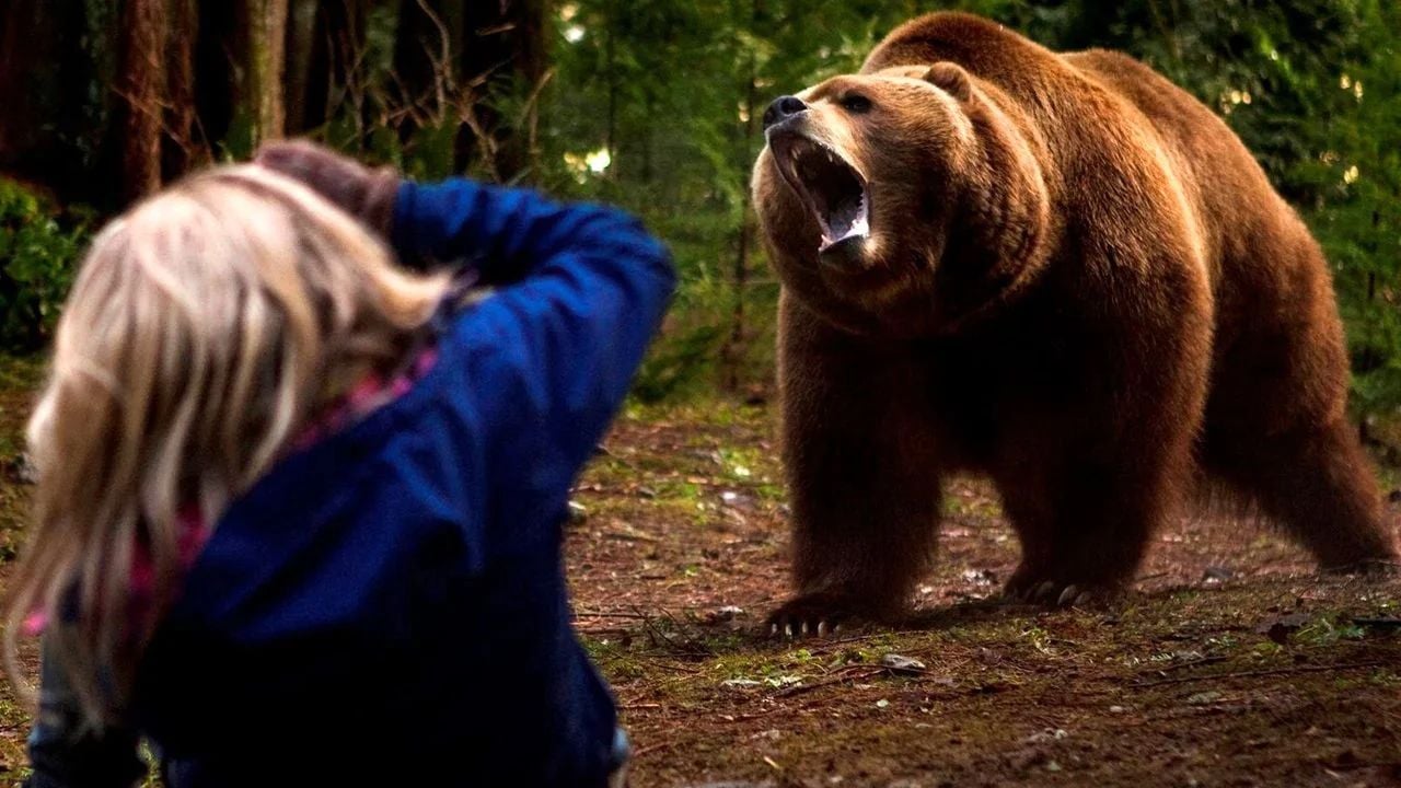 Heute im TV: In diesem Survival-Horror werden Marvel-Stars von einem blutrünstigen Bären gejagt