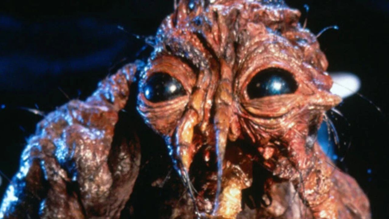 Ekelhaft: David Cronenbergs 