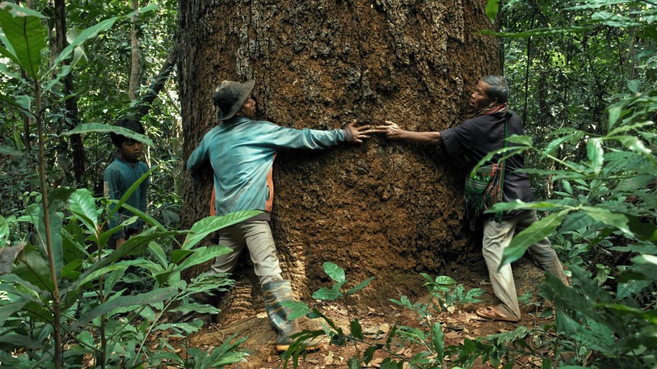 Die Bunong sind eins mit der sie umgebenden Natur – doch in der modernen Welt sind sie dazu gezwungen, an der Zerstörung ihres eigenen Lebensraums mitzuwirken.