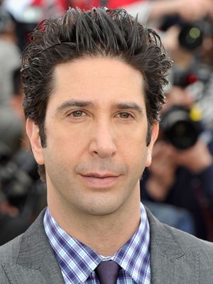 Filmografie Von David Schwimmer Filmstarts De