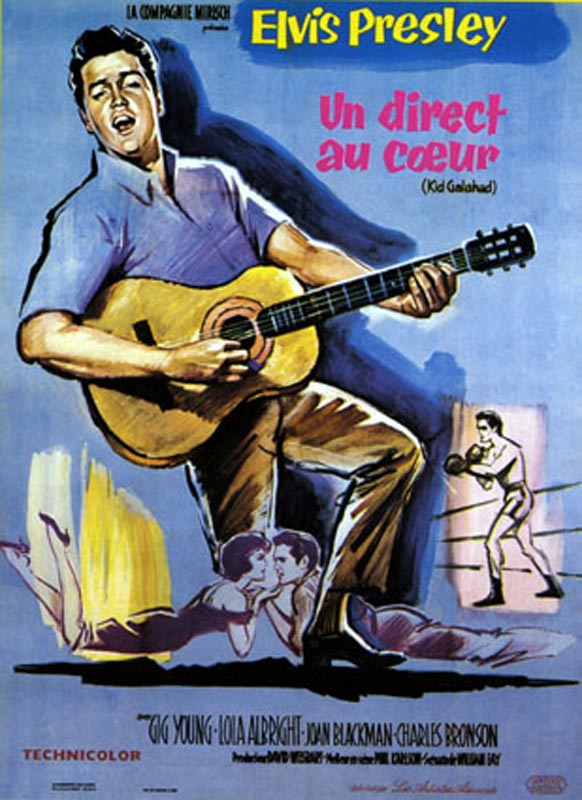 Elvis Presley Film harte Fäuste heisse Liebe Plakat Blechschild 20 x 30 