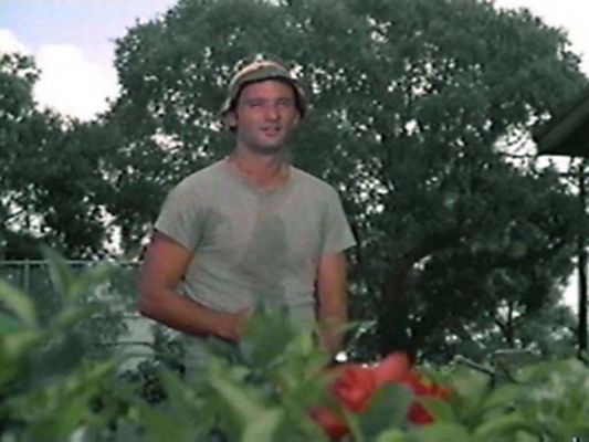 Bild zu Bill Murray Caddyshack Wahnsinn ohne Handicap Bild Bill Murray Foto 133 von 172 FILMSTARTS