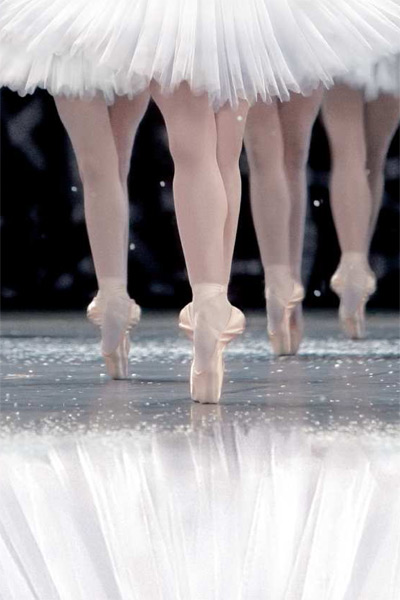 Bild von La Danse - Das Ballett der Pariser Oper - Bild 8 auf 10
