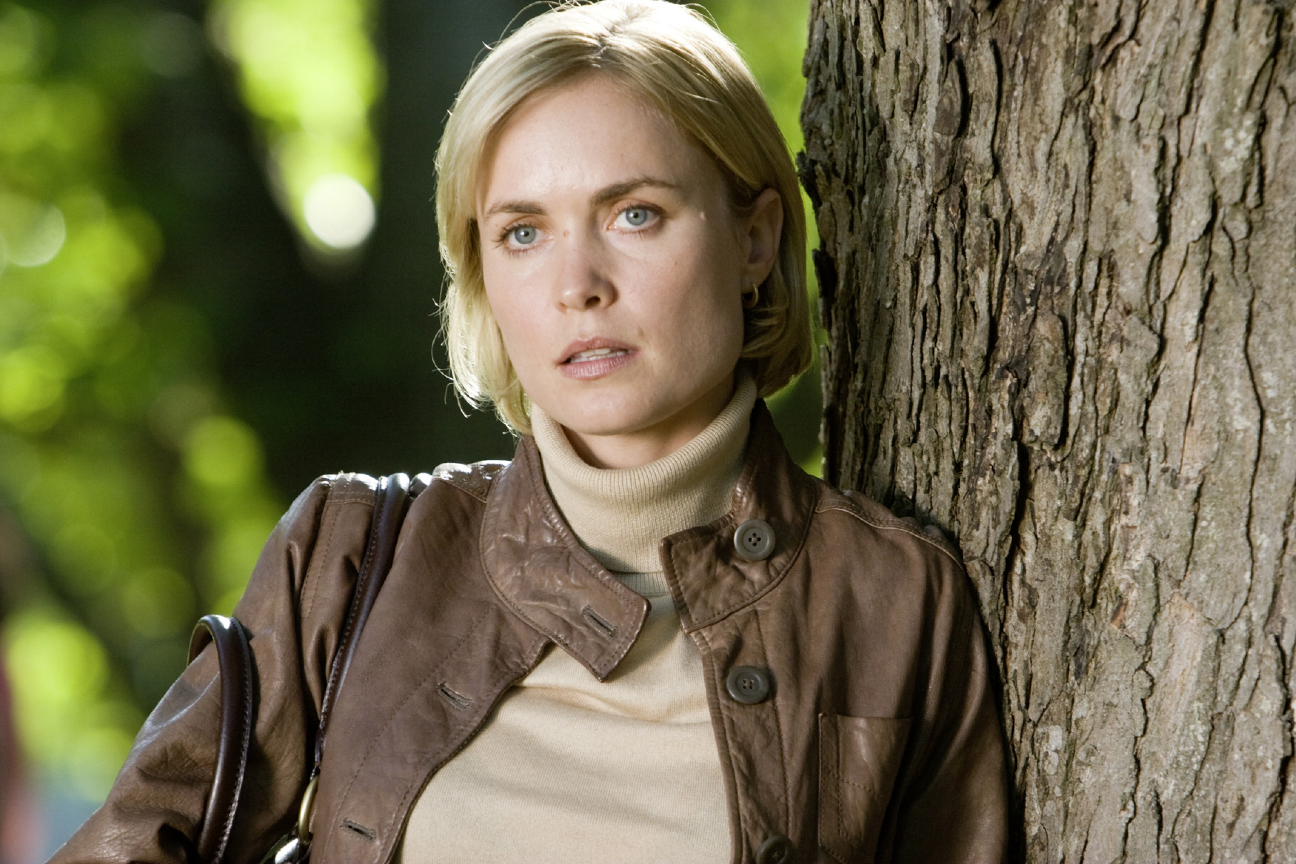 Праздник любви. Radha Mitchell. Рада Митчелл праздник любви фильм 2007. Рада Митчелл праздник любви кадры. Праздник любви фильм 2007.