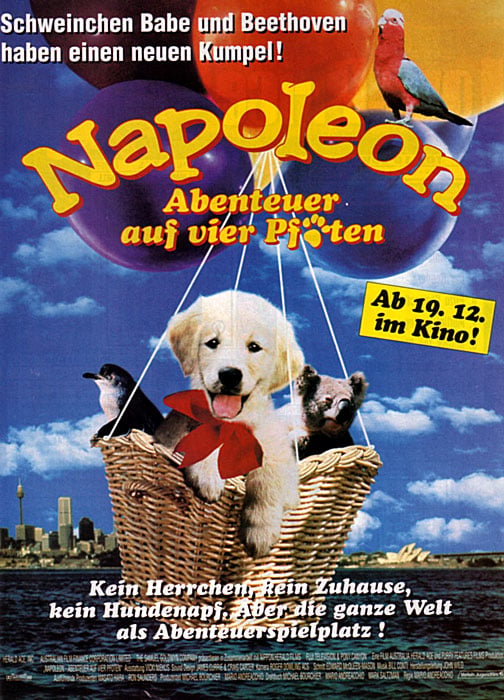 Napoleon Film Hund
