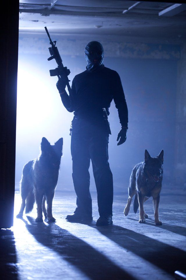 Foto zum Film The Collection The Collector 2 Bild 16 auf 19 FILMSTARTS.de