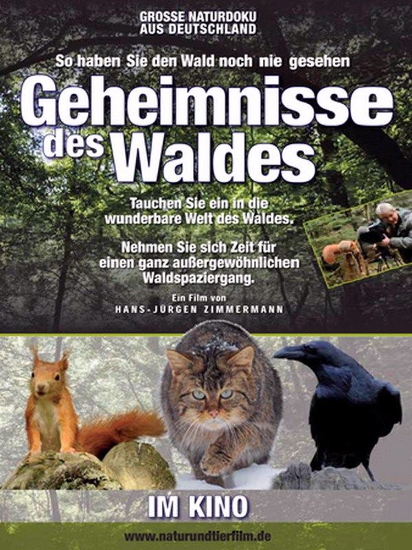 Geheimnisse des Waldes Dokumentarfilm 2012 FILMSTARTS.de