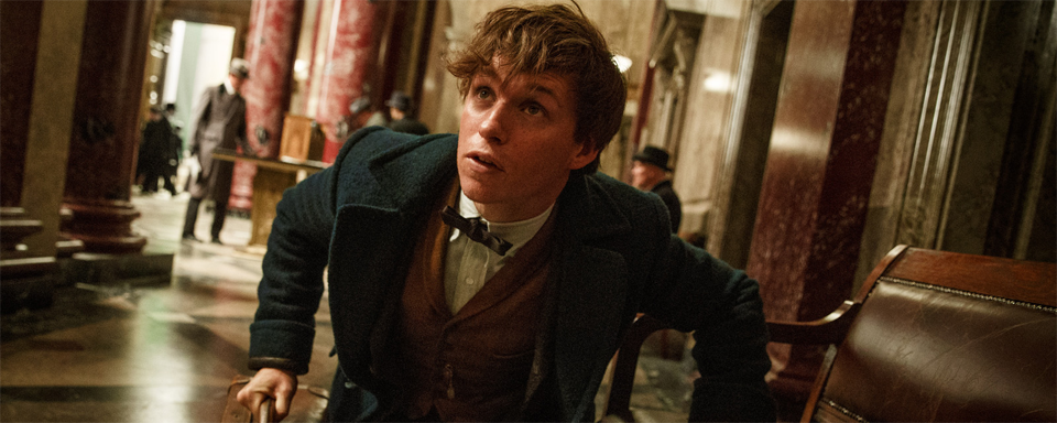 Newt Scamander Ein Spion Für Dumbledore? J.K. Rowling Entkräftet ...