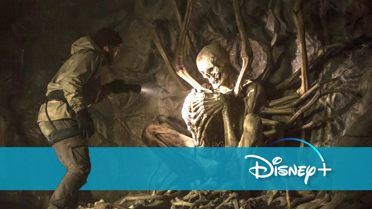 Die Besten Horrorfilme Auf Disney Plus Ab sofort gibt es einen der genialsten Horrorfilme des Jahres