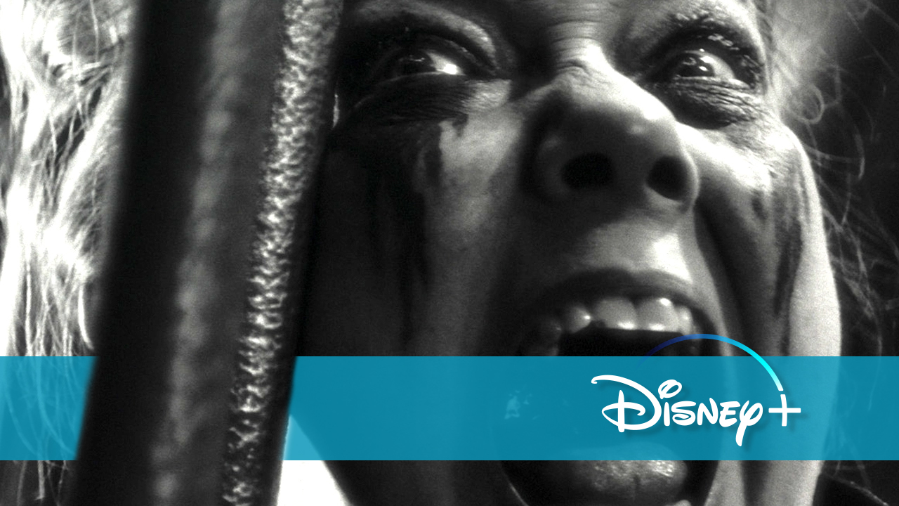 Blutiger MCU-Horror neu bei Disney+: Das gab's bei Marvel noch nie!