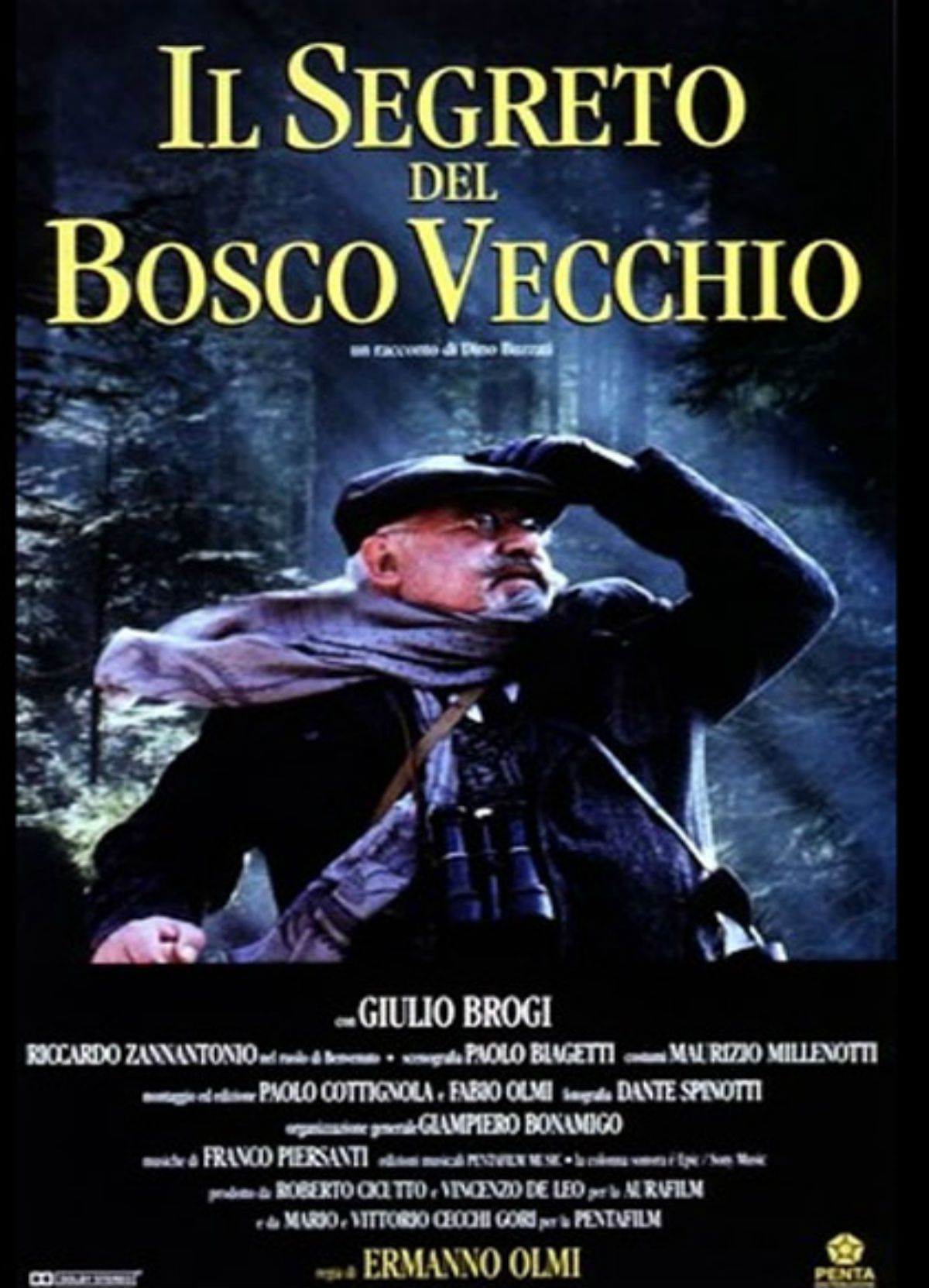 il segreto del bosco vecchio film