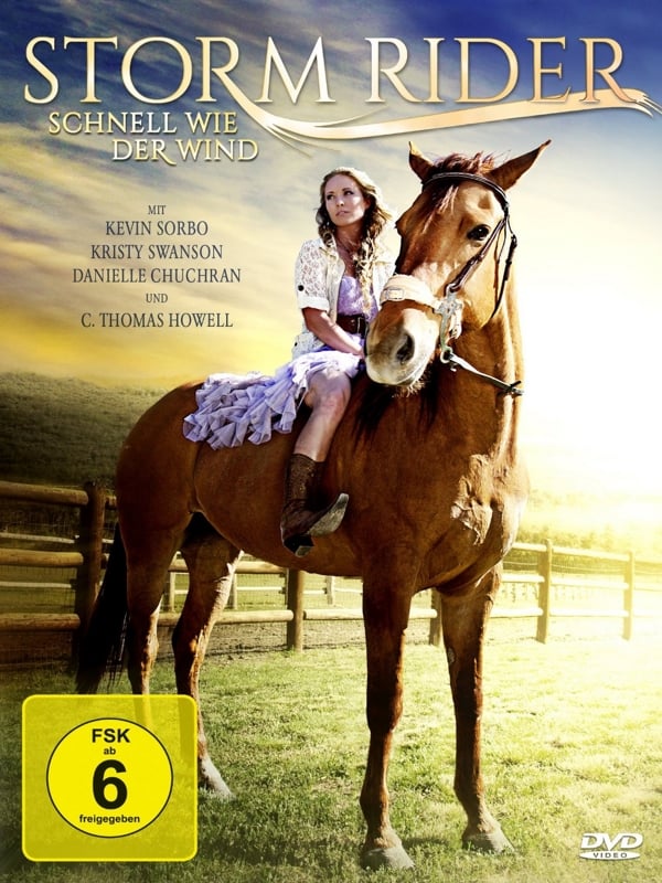 Wie der wind. Storm Rider. The Horse Rider фильм. Storm Riders сериал. Шторм Райдер.