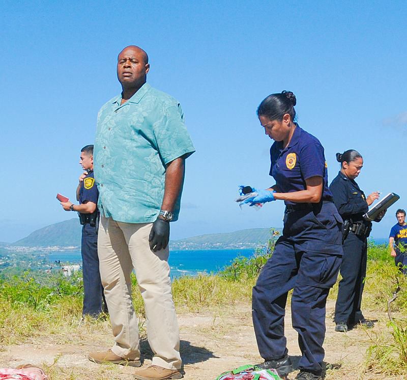 Hawaii Five-0: Bild Michelle Borth, Taylor Wily - 749 von 1176 ...