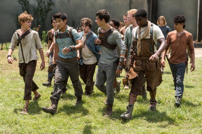 Mit Welchem Der Maze Runner Jungs Kommst Du Zusammen www.filmstarts.de