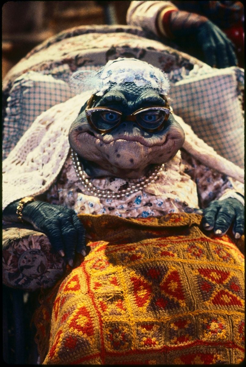 Bildergalerie Die Dinos Bild 12 von 22 FILMSTARTS.de