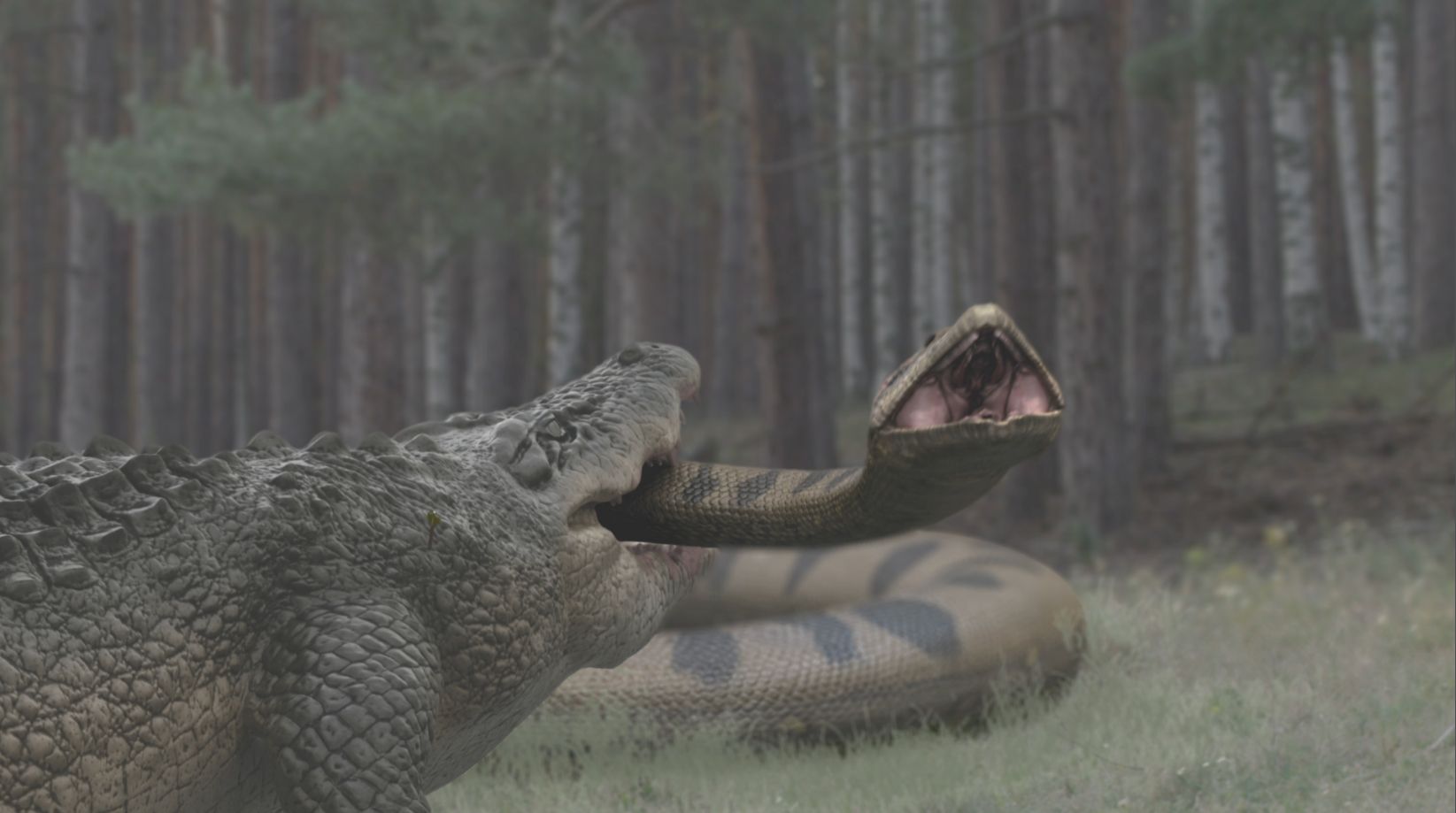 Foto zum Film Lake Placid Vs. Anaconda Bild 6 auf 10 FILMSTARTS.de