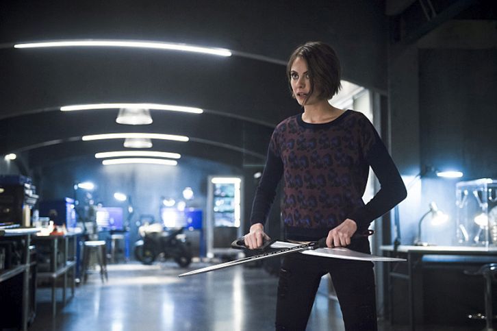 Filme Und Serien Von Willa Holland Arrow: Arrow : Bild Willa Holland - 554 von 1200 - FILMSTARTS.de