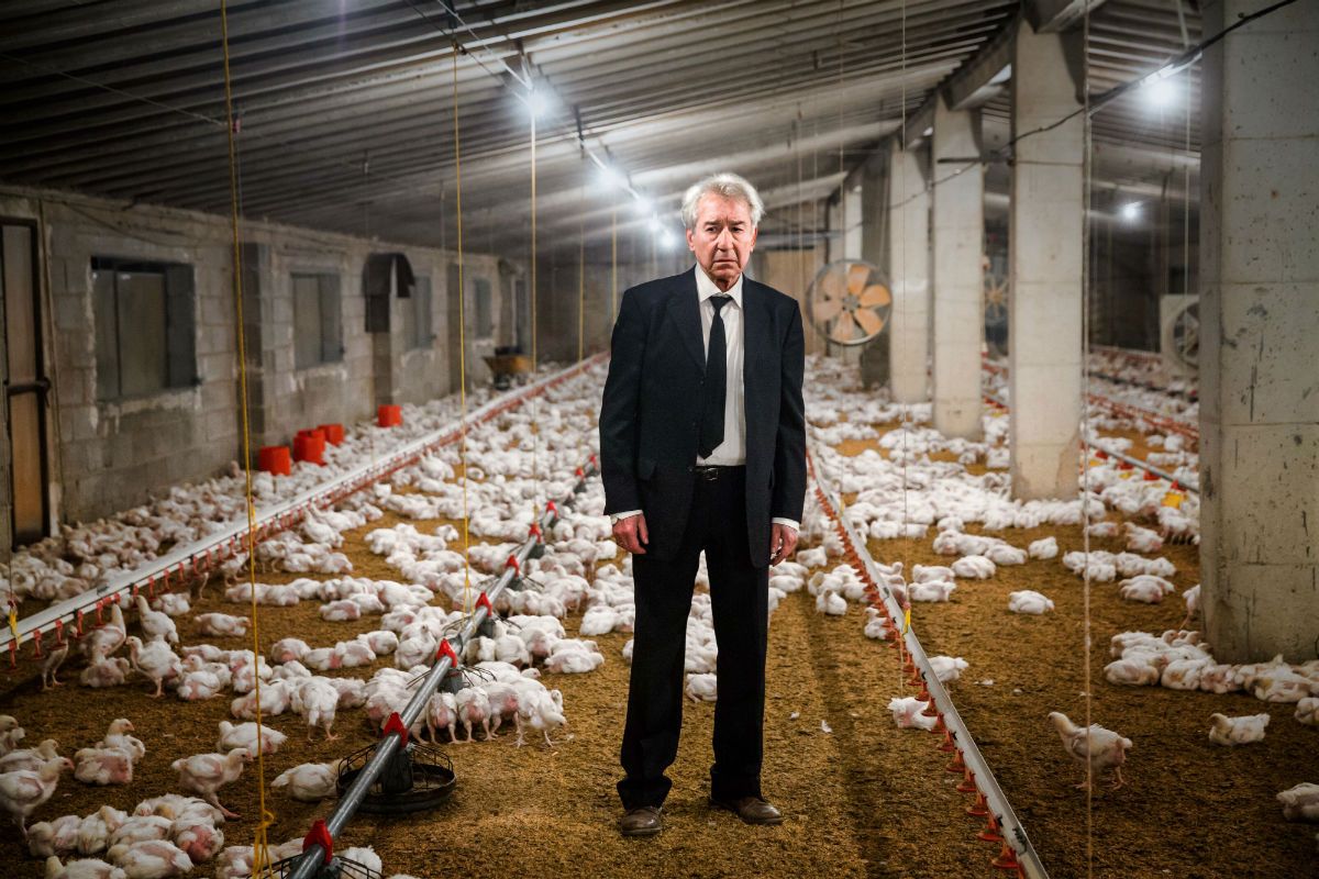 Bild zu José Sacristán Quatretondeta Bild José Sacristán Foto 23