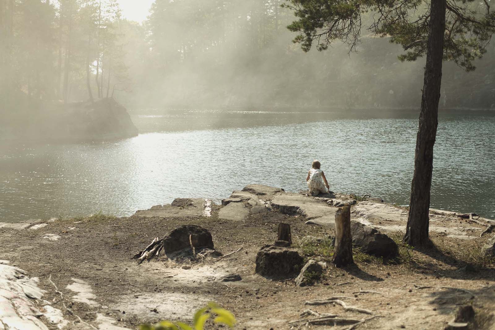 jordskott die rache des waldes