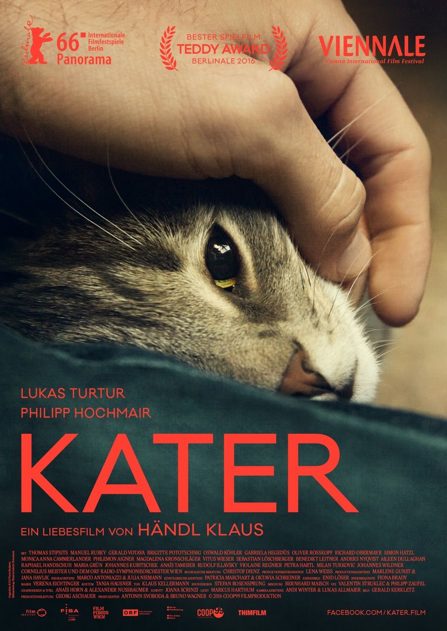 Kater Film 2016 FILMSTARTS.de