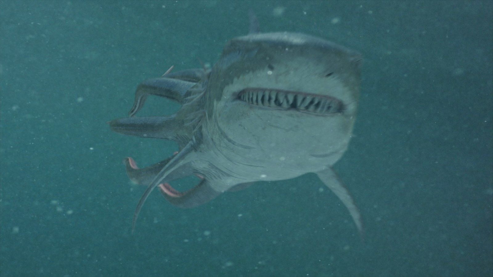 Показать картинки sharktopus and whalewolf из фильма sharktopus vs whalewolf 2015 года