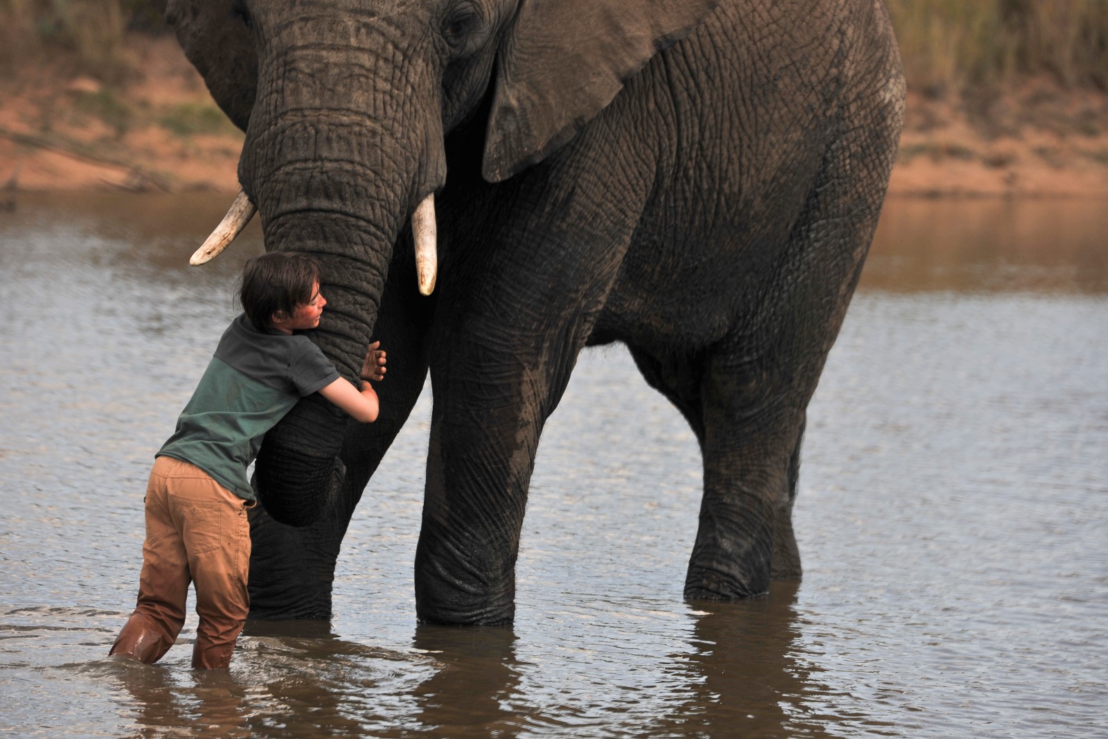 Foto Zum Film Kleine Helden, Große Wildnis 2 - Abenteuer Serengeti ...