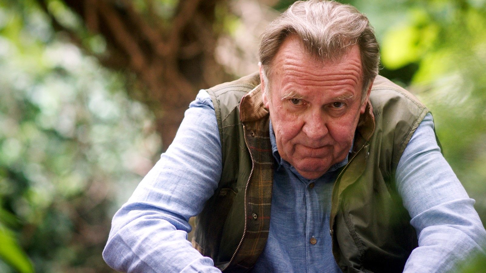 Bild zu Tom Wilkinson Der wunderbare Garten der Bella Brown Bild
