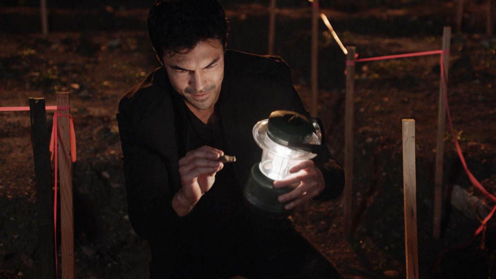 Hawaii Five0 Hawaii Five0 Bild Ian Anthony Dale 370 von 1177