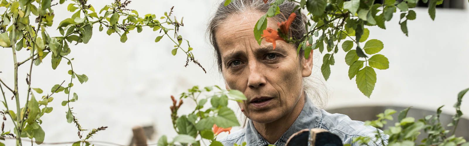 Foto zum Film The Intruder Bild 1 auf 9 FILMSTARTS.de