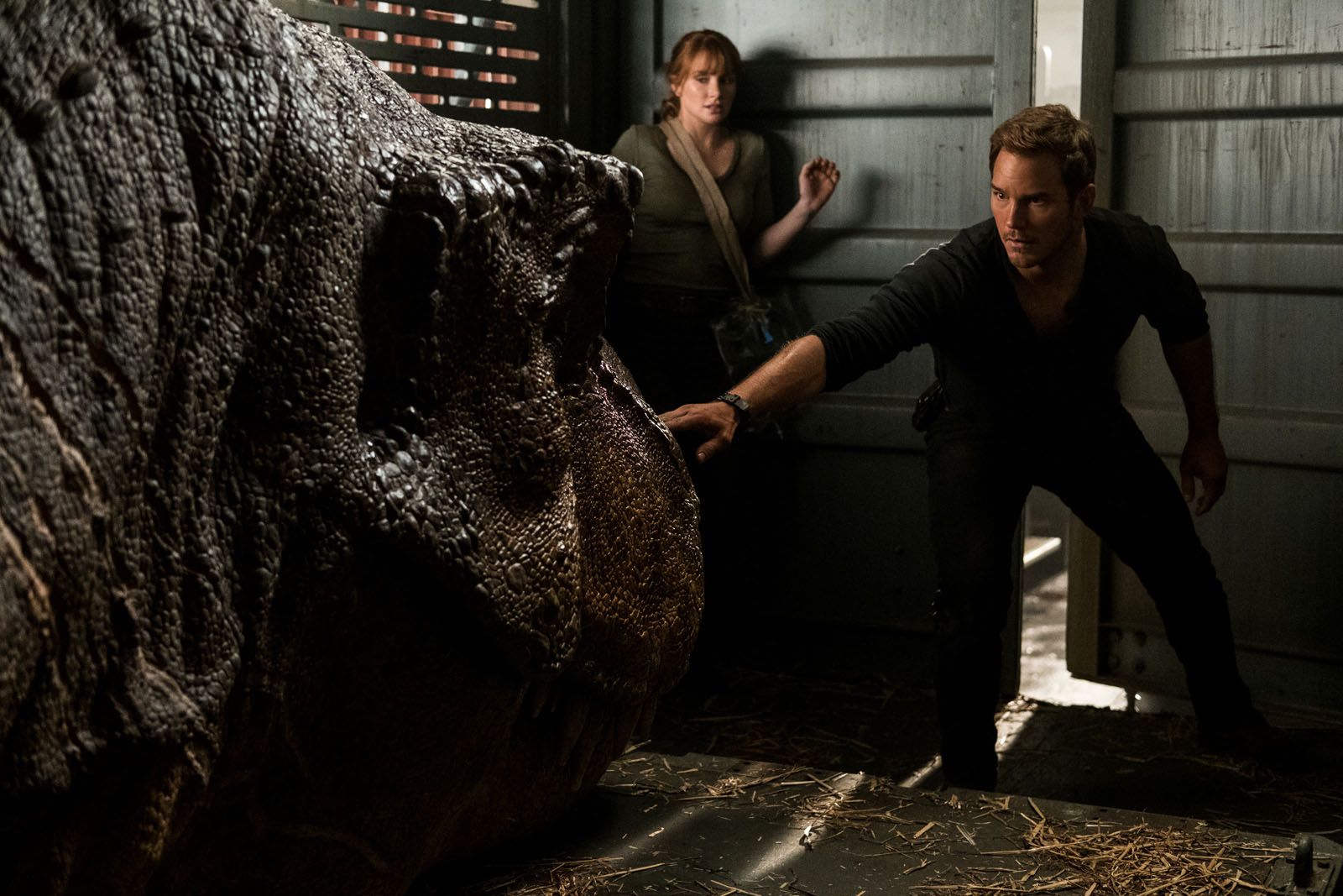 Foto zum Film Jurassic World 2 Das gefallene Königreich Bild 29 auf 49 FILMSTARTS.de Foto zum Film Jurassic World 2 Das gefallene Königreich Bild 29 auf 49 FILMSTARTS.de